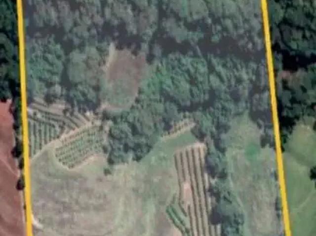 Sítio / Chácara para Venda em Fernando Prestes/SP Zona Rural
