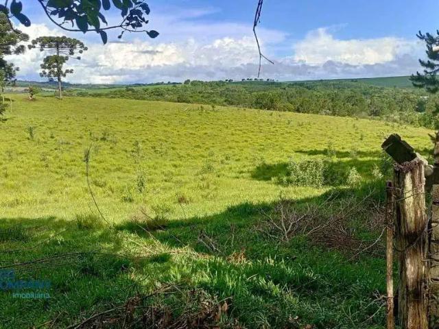 Sítio / Chácara para Venda em Fernandes Pinheiro/PR Zona Rural 1 Quartos