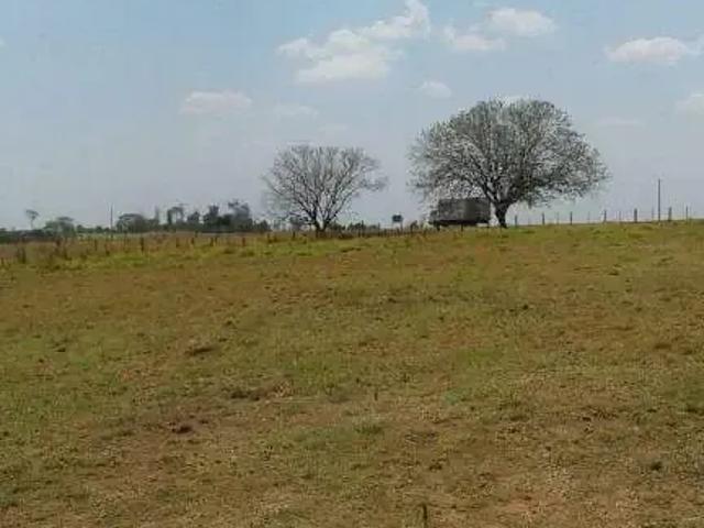 Sítio / Chácara para Venda em Floreal/SP Zona Rural 3 Quartos