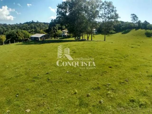 Sítio / Chácara para Venda em Flores da Cunha/RS Vila Travessão Claro