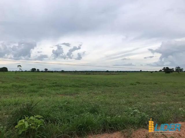 Sítio / Chácara para Venda em Flores de Goiás/GO Zona Rural