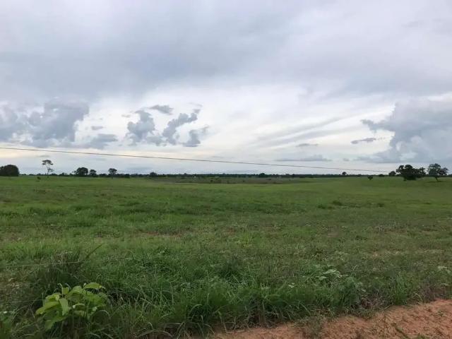 Sítio / Chácara para Venda em Flores de Goiás/GO Zona Rural