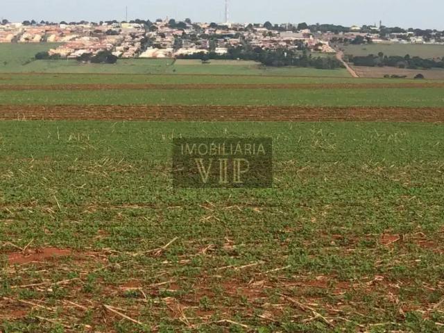 Sítio / Chácara para Venda em Florestópolis/PR Zona Rural 1 Quartos