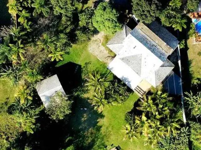 Sítio / Chácara para Venda em Florianópolis/SC São João do Rio Vermelho 2 Quartos