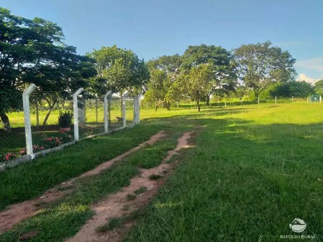 Sítio / Chácara para Venda em Frutal/MG Centro