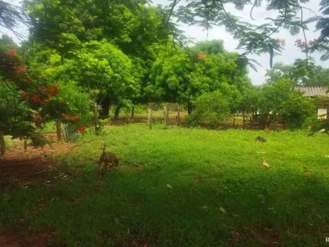 Sítio / Chácara para Venda em Frutal/MG Zona Rural