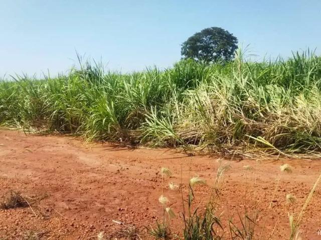 Sítio / Chácara para Venda em Frutal/MG Zona Rural