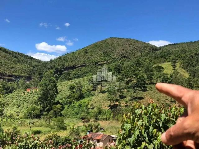 Sítio / Chácara para Venda em Frei Lagonegro/MG Centro