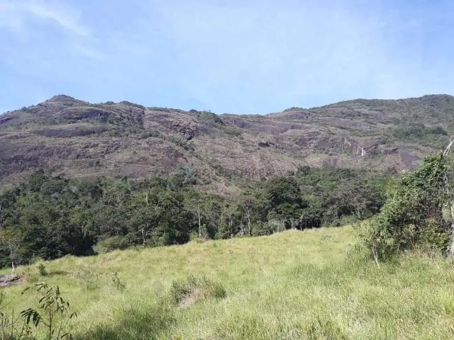 Sítio / Chácara para Venda em Fronteira/MG Zona Rural 2 Quartos