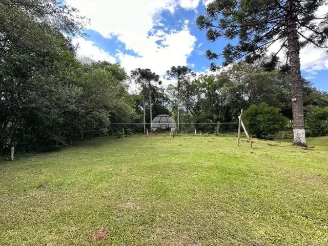 Sítio / Chácara para Venda em Honório Serpa/PR Zona Rural 3 Quartos