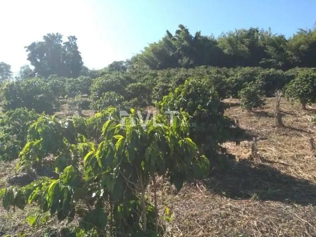 Sítio / Chácara para Venda em Heliodora/MG Centro 2 Quartos