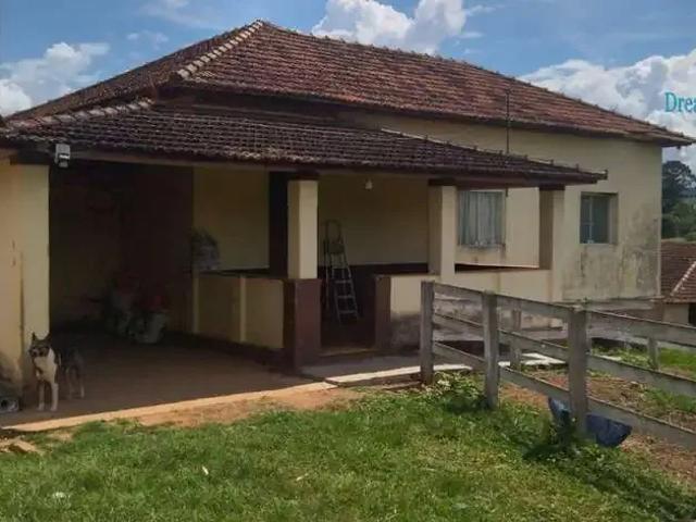 Sítio / Chácara para Venda em Heliodora/MG Centro
