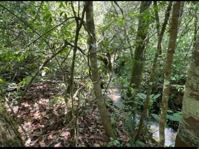 Sítio / Chácara para Venda em Hidrolândia/GO Zona Rural 2 Quartos