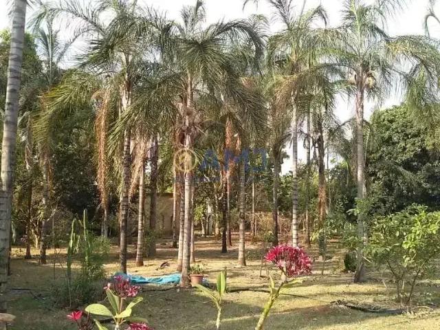 Sítio / Chácara para Venda em Hidrolândia/GO Zona Rural 3 Quartos