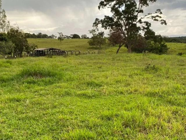 Sítio / Chácara para Venda em Hidrolândia/GO Zona Rural 5 Quartos