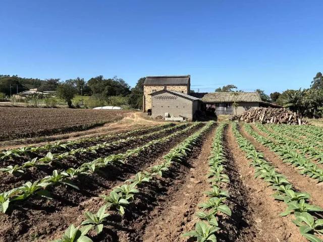 Sítio / Chácara para Venda em Içara/SC Vila Alvorada 3 Quartos