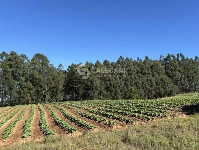 Sítio / Chácara para Venda em Içara/SC Zona Rural
