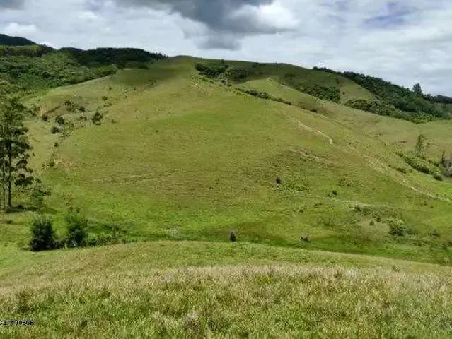 Sítio / Chácara para Venda em Imaruí/SC Aratingauba
