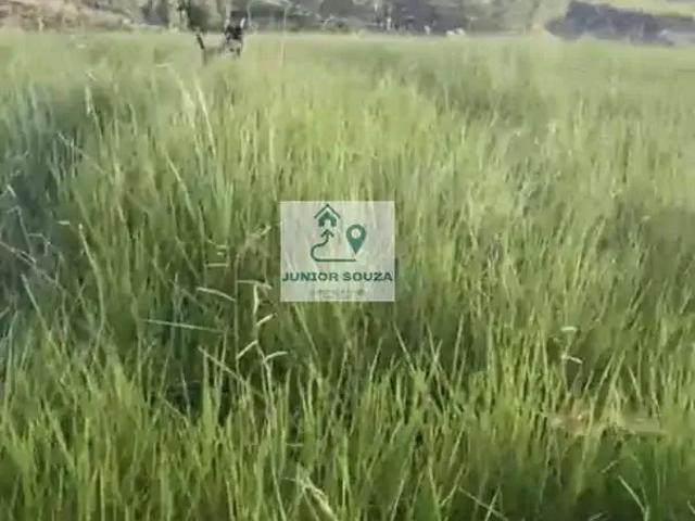 Sítio / Chácara para Venda em Imaruí/SC Aratingauba