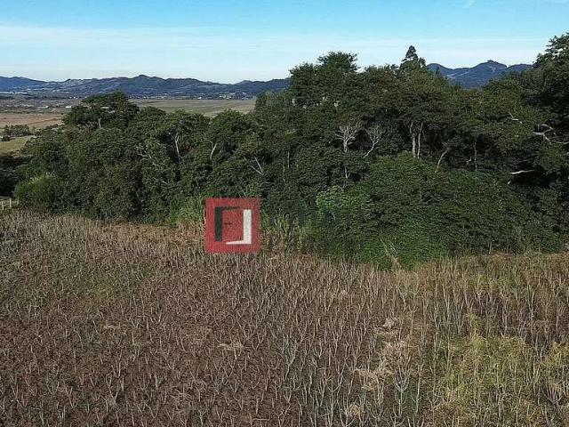Sítio / Chácara para Venda em Imaruí/SC Fazenda Rio das Garças 3 Quartos