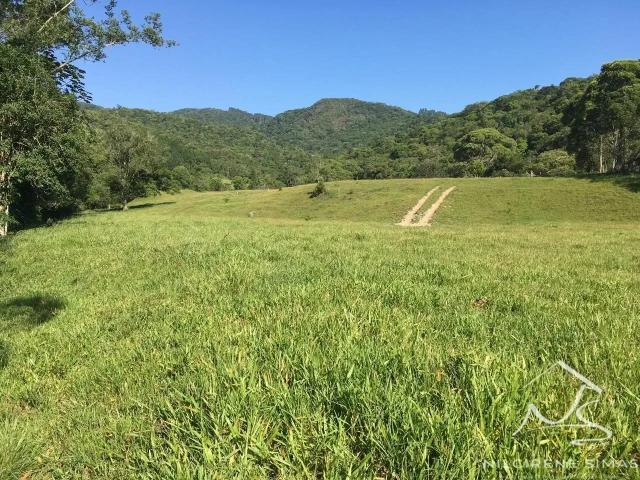 Sítio / Chácara para Venda em Imaruí/SC Zona Rural