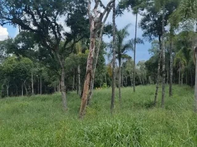 Sítio / Chácara para Venda em Imbituva/PR Zona Rural