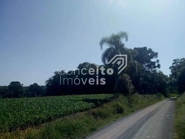 Sítio / Chácara para Venda em Imbituva/PR Centro