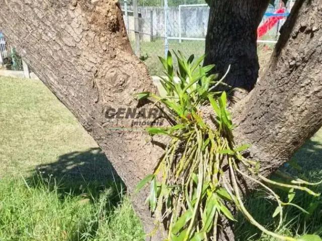Sítio / Chácara para Venda em Indaiatuba/SP Colinas de Indaiatuba 1 Quartos