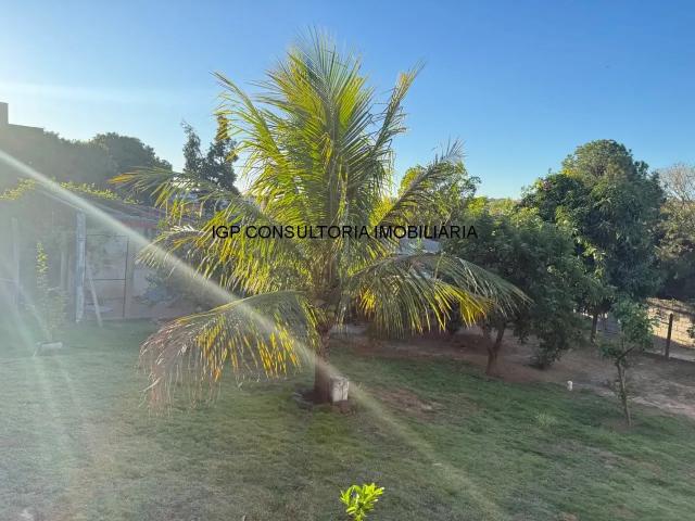 Sítio / Chácara para Venda em Indaiatuba/SP Colinas de Indaiatuba 3 Quartos