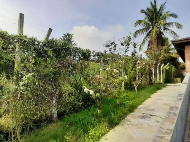 Sítio / Chácara para Venda em Indaiatuba/SP Colinas de Indaiatuba 3 Quartos