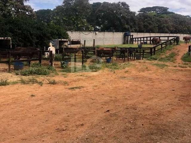 Sítio / Chácara para Venda em Indaiatuba/SP Recreio Campestre Internacional Viracopos II