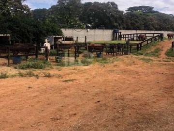 Sítio / Chácara para Venda em Indaiatuba/SP Recreio Campestre Internacional Viracopos II
