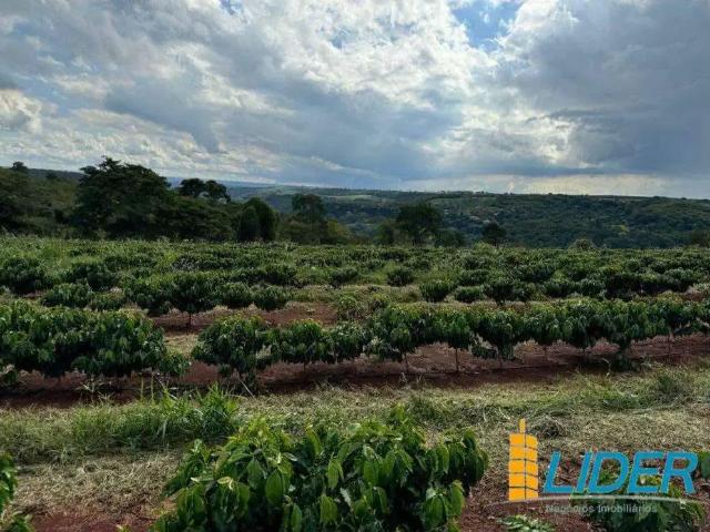 Sítio / Chácara para Venda em Indianópolis/MG Zona Rural