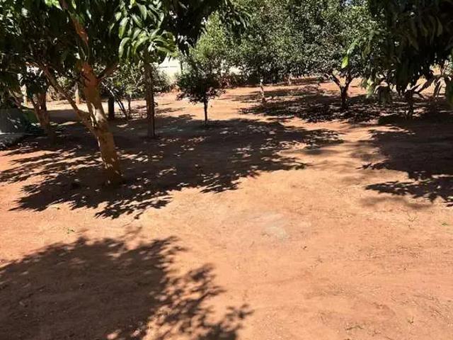 Sítio / Chácara para Venda em Indiara/GO Zona Rural 4 Quartos