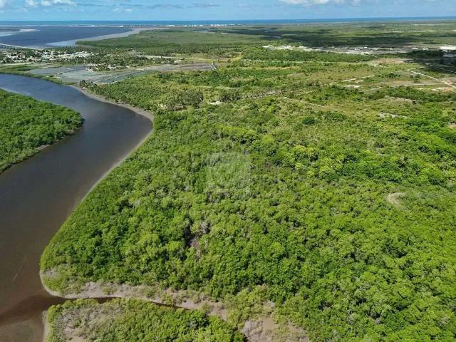 Sítio / Chácara para Venda em Indiaroba/SE Terra Caída