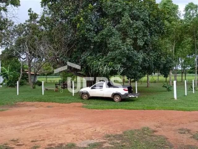 Sítio / Chácara para Venda em Inhumas/GO Área Rural de Inhumas 3 Quartos