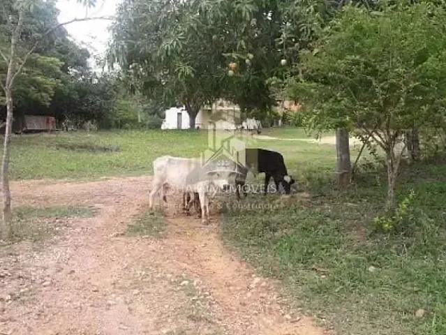 Sítio / Chácara para Venda em Inimutaba/MG Centro 3 Quartos