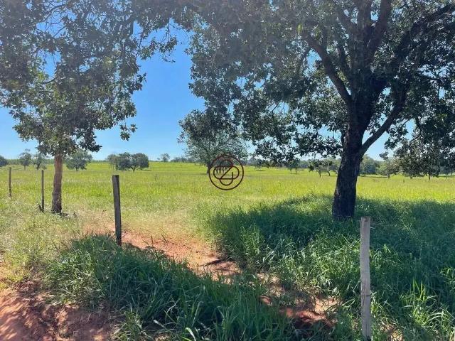 Sítio / Chácara para Venda em Inocência/MS Zona Rural 3 Quartos