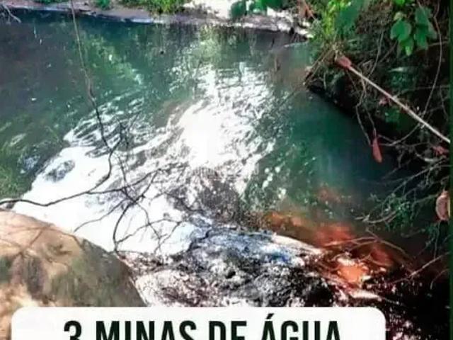 Sítio / Chácara para Venda em Ibaiti/PR Flamenguinho