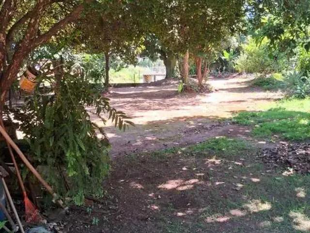 Sítio / Chácara para Venda em Ibaté/SP Vila Tamoio 3 Quartos