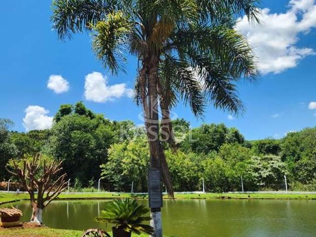 Sítio / Chácara para Venda em Ibema/PR Zona Rural 2 Quartos