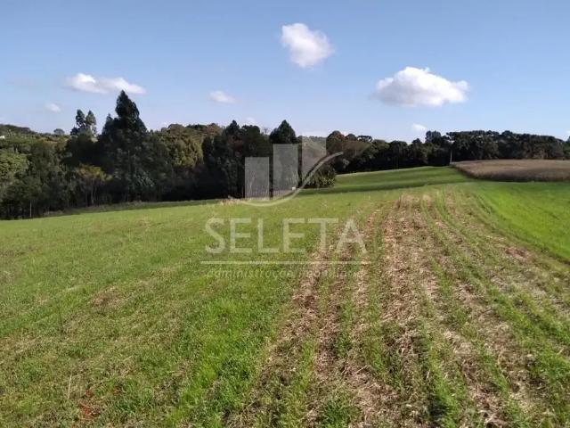 Sítio / Chácara para Venda em Ibema/PR Centro