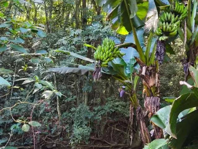 Sítio / Chácara para Venda em Ibicaré/SC Centro