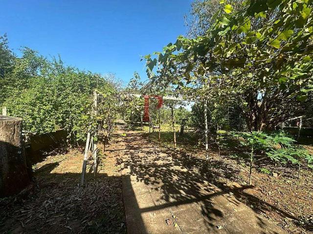 Sítio / Chácara para Venda em Ibiporã/PR Balneário Tibagi 2 Quartos