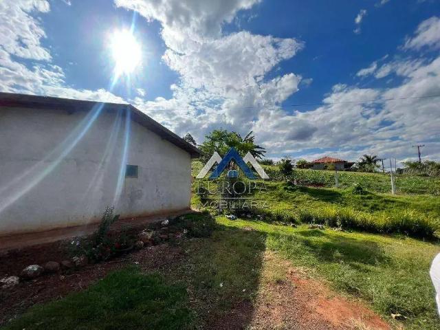 Sítio / Chácara para Venda em Ibiporã/PR Chácaras Itaúna 5 Quartos