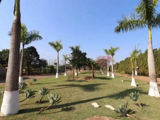 Sítio / Chácara para Venda em Ibiporã/PR Chácaras Itaúna 1 Quartos