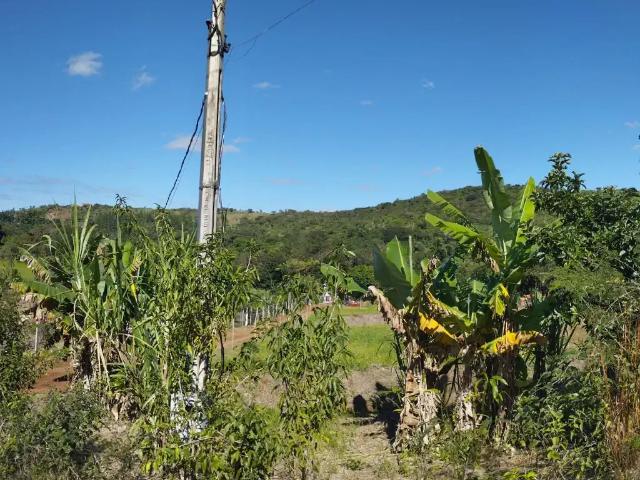 Sítio / Chácara para Venda em Ibiporã/PR Chácaras Itaúna 1 Quartos