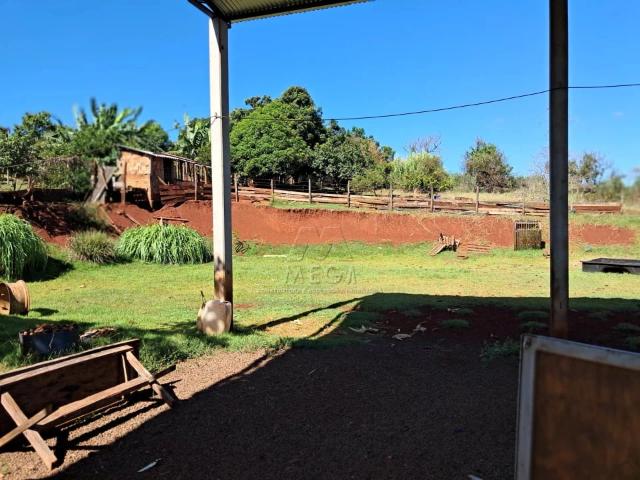 Sítio / Chácara para Venda em Ibiporã/PR Chácaras Recanto do Engenho 1 Quartos