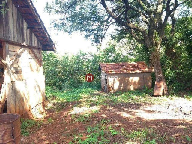 Sítio / Chácara para Venda em Ibiporã/PR Contorno Norte 4 Quartos