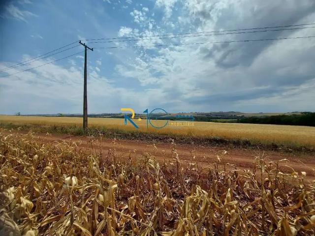 Sítio / Chácara para Venda em Ibiporã/PR Gleba Primavera